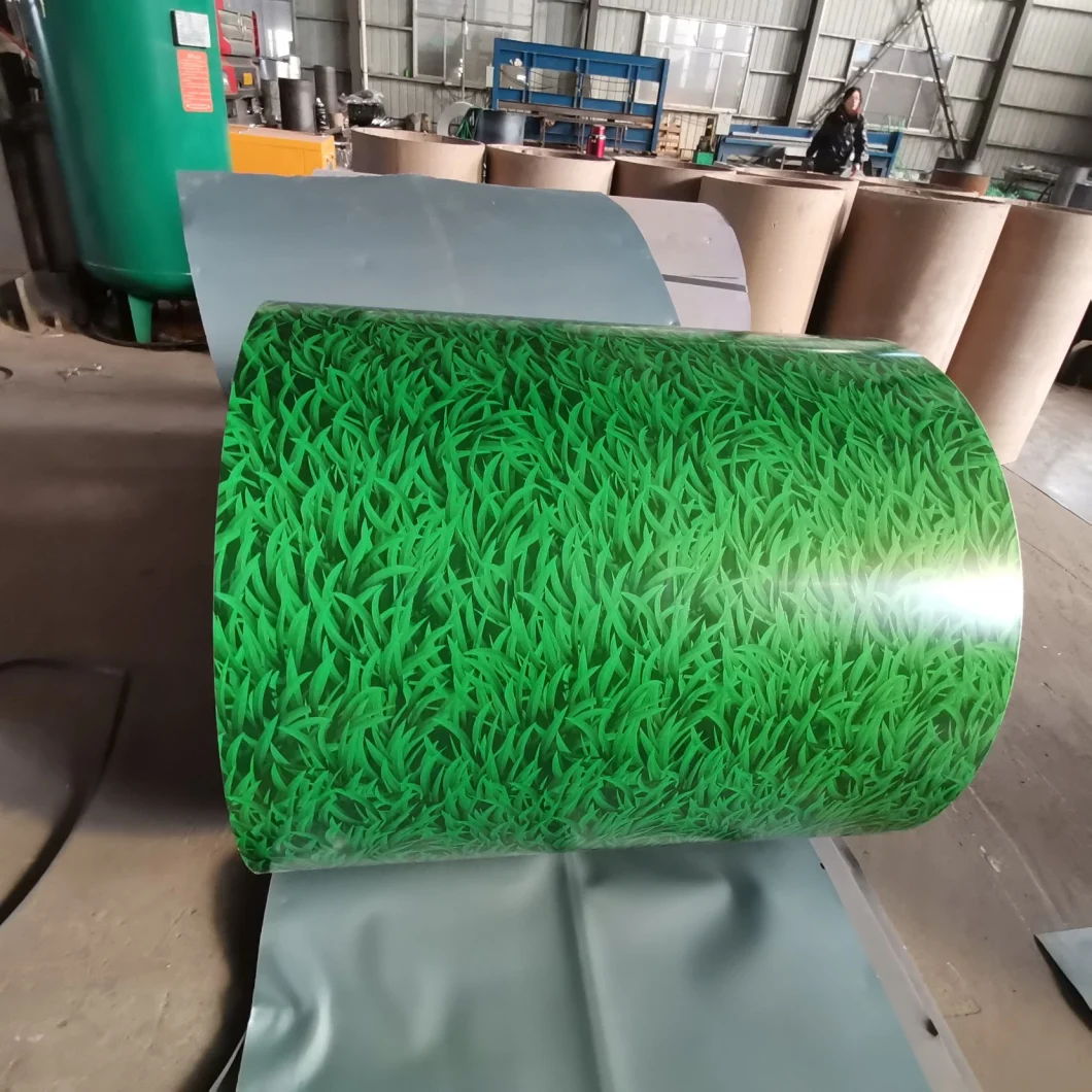 Prepainted Cold Rolled Galvanized Galvalume PPGI/PPGL Steel Coil